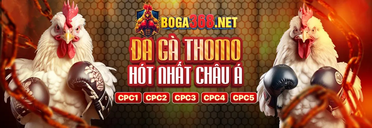Đá gà trực tuyến kịch tính tại kg88 code